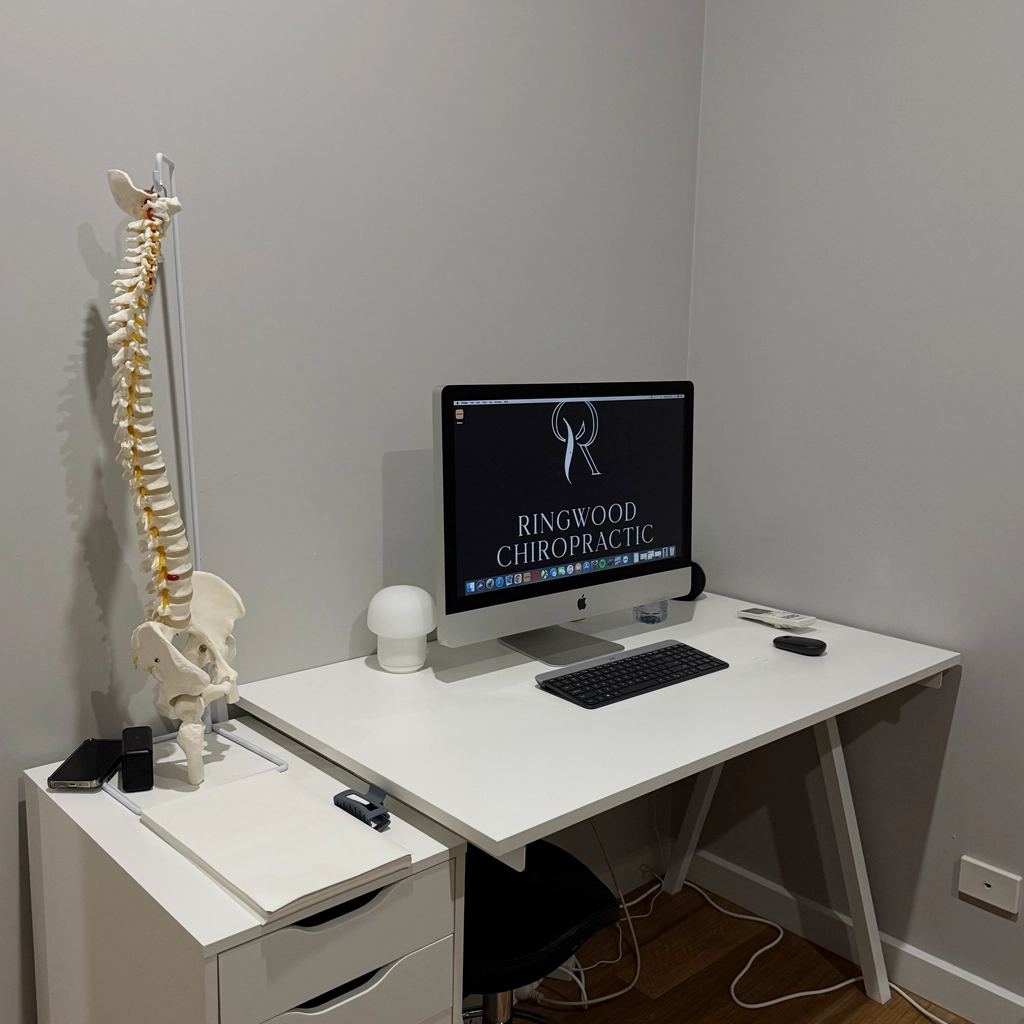 Consultation area with a welcoming air to put patients at ease in our Ringwood chiropractic clinic