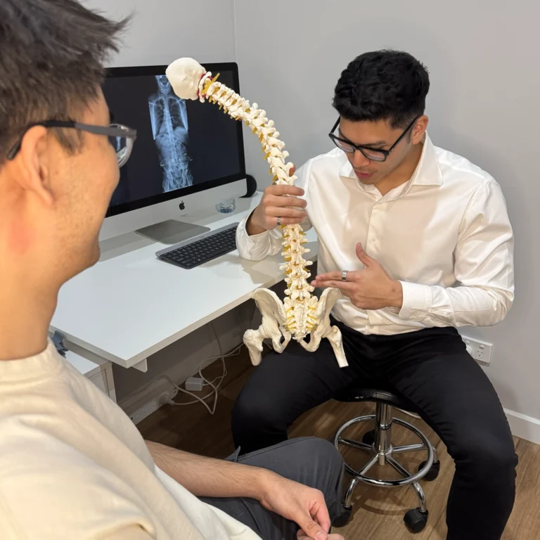 Practitioner at Ringwood Chiropractic using a spine model to explain misalignments and treatment plan to patient